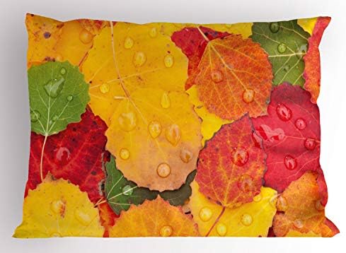 Ambesonne Fall Folhas Folhas SHAM, Visão geral FECTADA GERATURA DE Folhas com Rainds Photo Macro sazonal de outono, Tamanho decorativo Pravenda impressa em tamanho padrão, 26 x 20, multicolor