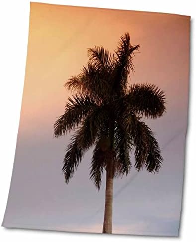 3drose florene árvores - Sunset Florida Palm - toalhas
