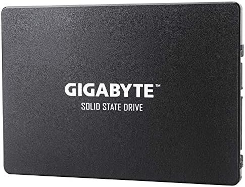 Gigabyte GP-GSTFS31256GTND Drive de estado sólido, capacidade de 256 GB, SSD interno de 2,5 polegadas,