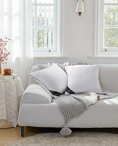 Fapo Throw Pillow Inserts, 20 x20 Square Sofá Interior Pillow Inserts com tampa de algodão, travesseiro