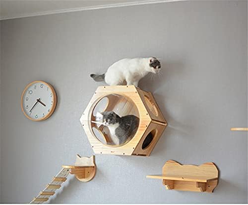 Gatos de parede de parede gatos de escalada gatos gatos árvores cápsulas espaciais hexagonal gatos parede parede
