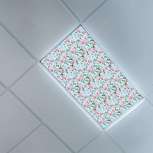 Tampas de luz fluorescentes para o teto dos painéis de difusor de luz-inglês-inglês-fluorescente capas